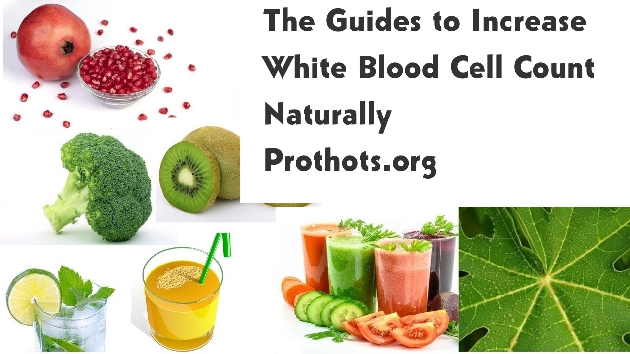 The Guides to Increase White Blood Cell Count—Naturally
